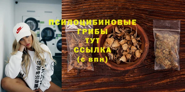 MESCALINE Аркадак