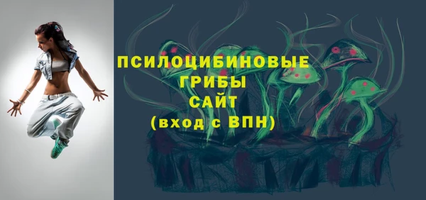 2c-b Армянск