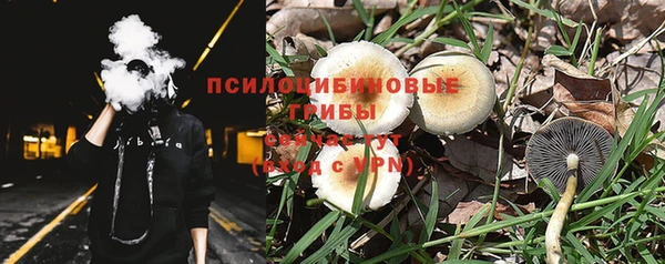 2c-b Армянск
