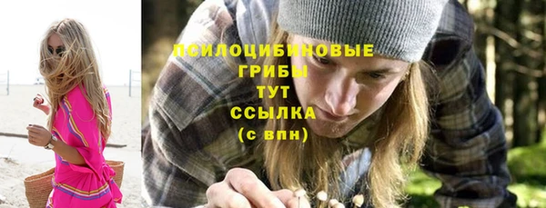 СК Арсеньев